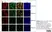 Anti Human CD19 Antibody, clone LT19 thumbnail image 15