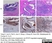 Anti Human CD19 Antibody, clone LT19 thumbnail image 16