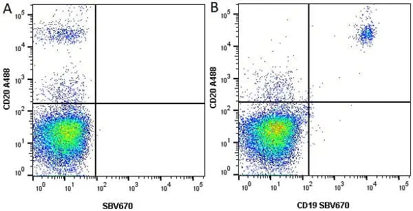 Anti Human CD19 Antibody, clone LT19 gallery image 17