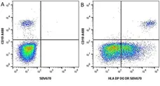 Anti Human CD19 Antibody, clone LT19 gallery image 18