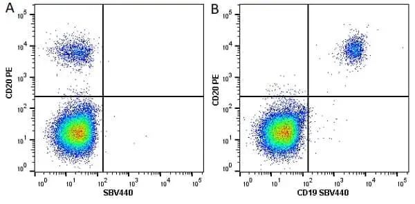 Anti Human CD19 Antibody, clone LT19 gallery image 20