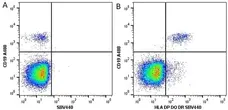 Anti Human CD19 Antibody, clone LT19 gallery image 21
