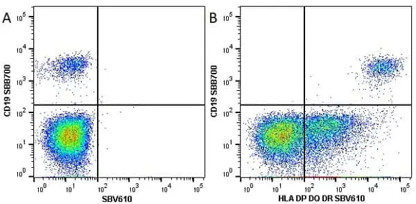 Anti Human CD19 Antibody, clone LT19 gallery image 23