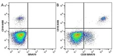 Anti Human CD19 Antibody, clone LT19 gallery image 25