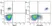 Anti Human CD19 Antibody, clone LT19 thumbnail image 25