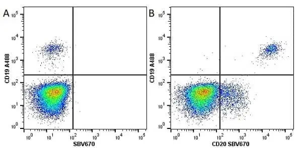 Anti Human CD19 Antibody, clone LT19 gallery image 25