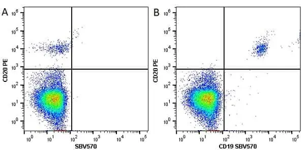 Anti Human CD19 Antibody, clone LT19 gallery image 26