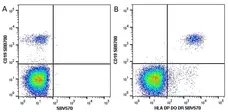 Anti Human CD19 Antibody, clone LT19 gallery image 27