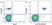 Anti Human CD19 Antibody, clone LT19 thumbnail image 27