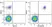 Anti Human CD19 Antibody, clone LT19 thumbnail image 29