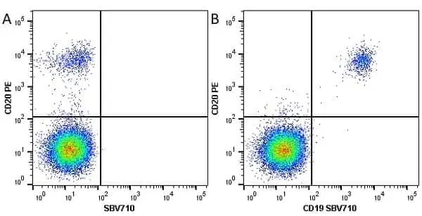 Anti Human CD19 Antibody, clone LT19 gallery image 29