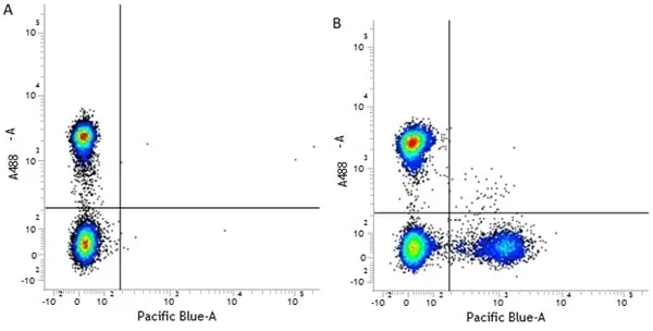 Anti Human CD19 Antibody, clone LT19 gallery image 3