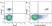 Anti Human CD19 Antibody, clone LT19 thumbnail image 32