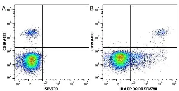 Anti Human CD19 Antibody, clone LT19 gallery image 32