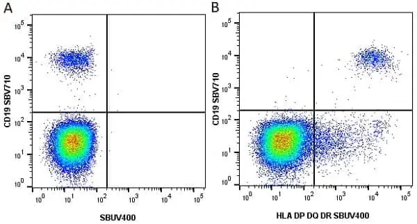 Anti Human CD19 Antibody, clone LT19 gallery image 36