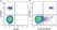 Anti Human CD19 Antibody, clone LT19 thumbnail image 37