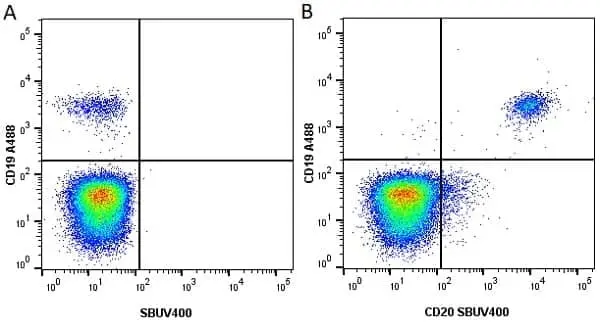 Anti Human CD19 Antibody, clone LT19 gallery image 38