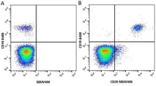 Anti Human CD19 Antibody, clone LT19 gallery image 39