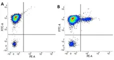 Anti Human CD19 Antibody, clone LT19 gallery image 4