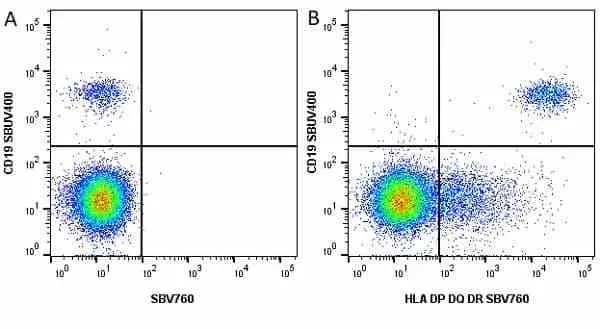 Anti Human CD19 Antibody, clone LT19 gallery image 40