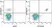 Anti Human CD19 Antibody, clone LT19 thumbnail image 41