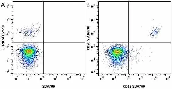 Anti Human CD19 Antibody, clone LT19 gallery image 41
