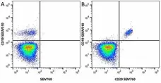 Anti Human CD19 Antibody, clone LT19 gallery image 42