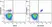 Anti Human CD19 Antibody, clone LT19 thumbnail image 42