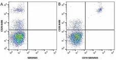 Anti Human CD19 Antibody, clone LT19 gallery image 43