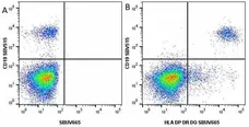 Anti Human CD19 Antibody, clone LT19 gallery image 44