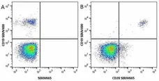 Anti Human CD19 Antibody, clone LT19 gallery image 45