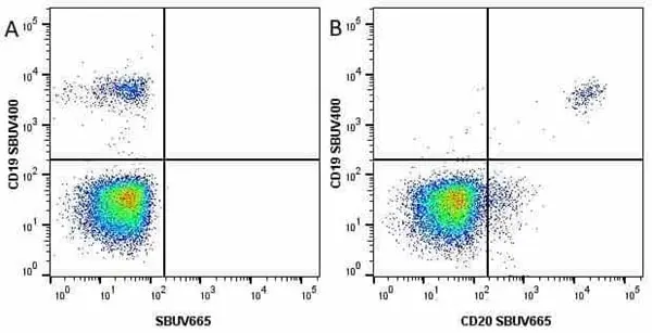 Anti Human CD19 Antibody, clone LT19 gallery image 45