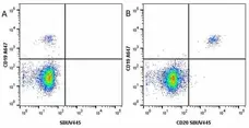 Anti Human CD19 Antibody, clone LT19 gallery image 46