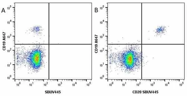 Anti Human CD19 Antibody, clone LT19 gallery image 46