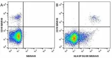 Anti Human CD19 Antibody, clone LT19 gallery image 47
