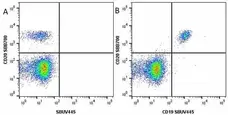 Anti Human CD19 Antibody, clone LT19 gallery image 48