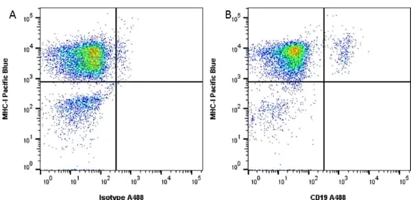 Anti Human CD19 Antibody, clone LT19 gallery image 5