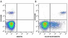 Anti Human CD19 Antibody, clone LT19 gallery image 50