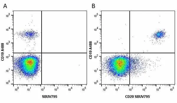 Anti Human CD19 Antibody, clone LT19 gallery image 51