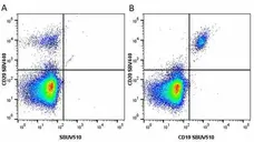 Anti Human CD19 Antibody, clone LT19 gallery image 52