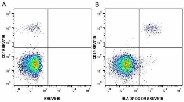 Anti Human CD19 Antibody, clone LT19 gallery image 53
