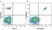Anti Human CD19 Antibody, clone LT19 thumbnail image 57