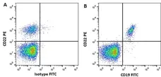 Anti Human CD19 Antibody, clone LT19 gallery image 6