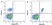 Anti Human CD19 Antibody, clone LT19 thumbnail image 6