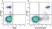 Anti Human CD19 Antibody, clone LT19 thumbnail image 60