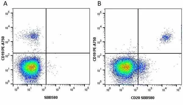 Anti Human CD19 Antibody, clone LT19 gallery image 61