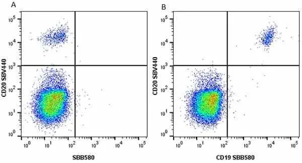 Anti Human CD19 Antibody, clone LT19 gallery image 62