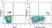 Anti Human CD19 Antibody, clone LT19 thumbnail image 64