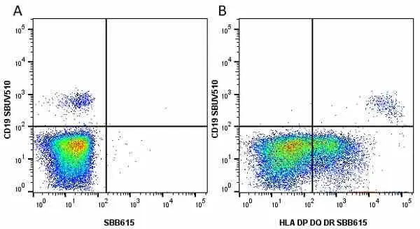 Anti Human CD19 Antibody, clone LT19 gallery image 64