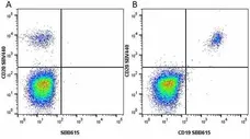 Anti Human CD19 Antibody, clone LT19 gallery image 65